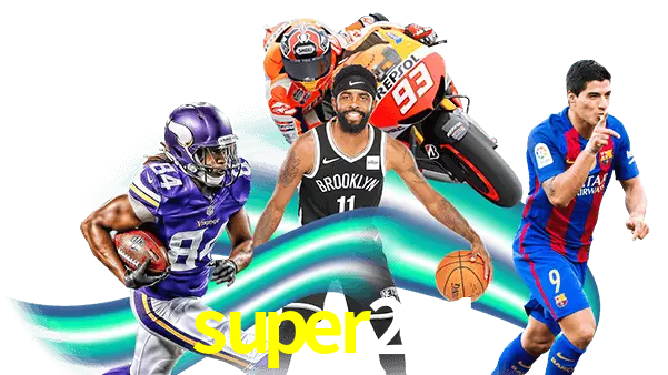 super291