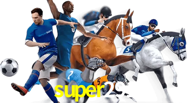 super291