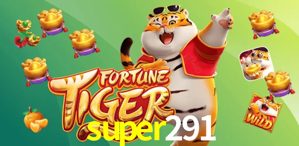 Experiência VIP super291