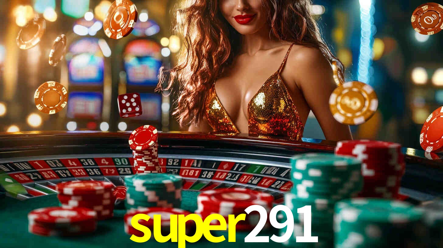 super291 App Interface