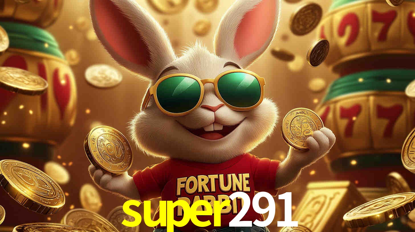 super291.com